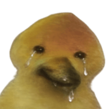 ลายที่ 15