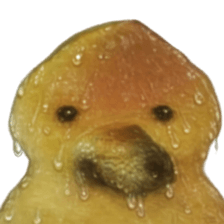 ลายที่ 17