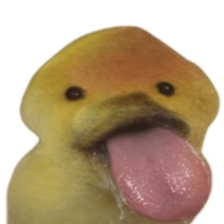 Bro What Dog รูปที่ 11