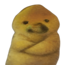 Bro What Dog รูปที่ 15