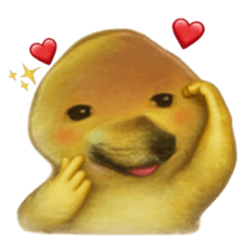 Bro What Dog รูปที่ 20