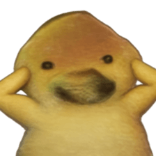 ลายที่ 43