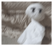 824336729