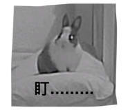 824342043
