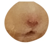 824342804
