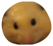824342806