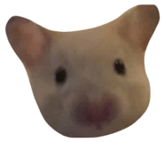 824342807