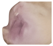 824342808