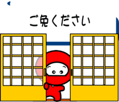 82437804