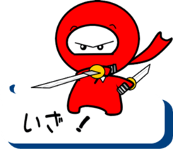 82437806