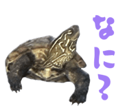824389875