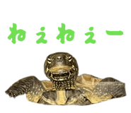 824389878
