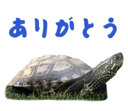 824389880