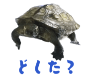 824389883