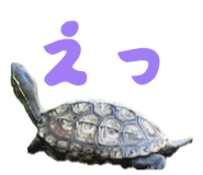 824389884