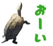 824389885