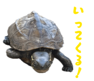 824389886