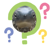 824389888