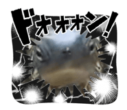 824389892