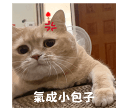 824394820