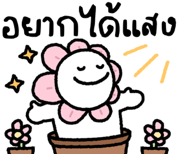 ลายที่ 39