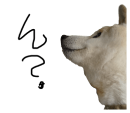 824425855