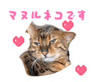 824434481