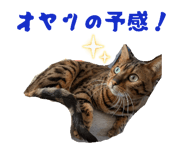 824434486