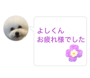 824463154