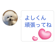 824463156