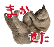 824479294