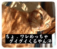 824530960