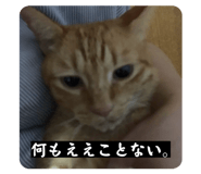 824530970