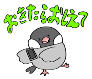 824537645