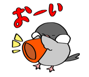 824537646