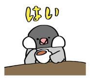 824537647