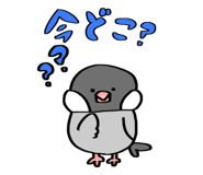 824537648