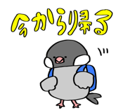 824537652