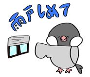 824537655