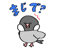 824537666