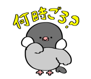824537667