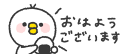 824554497