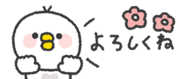 824554507