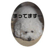 824578725