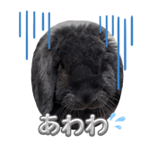 824579093