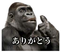 824580035