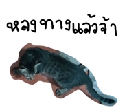 824580340