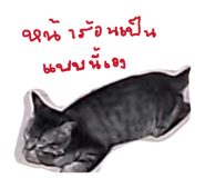 824580351