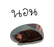 824580354