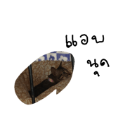 824580366